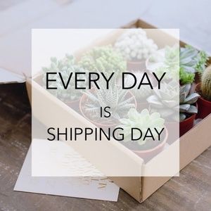Shipping Daily, Monday-Saturday